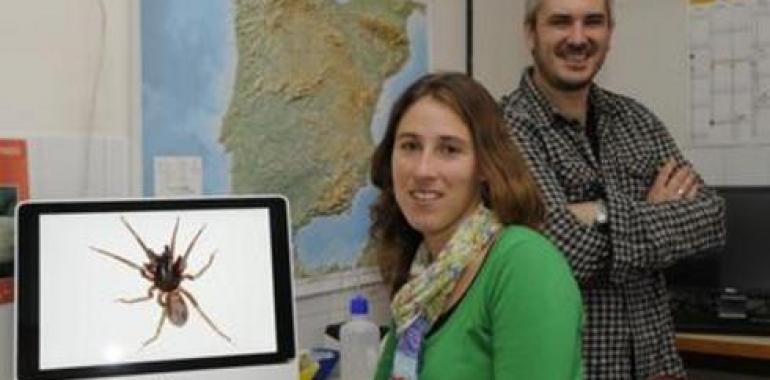 Una antigua colisión téctonica en el Mediterráneo diversificó las arañas