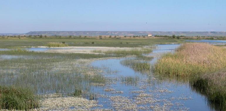 La laguna de La Nava se suma el jueves a la celebración del Día Mundial de los Humedales