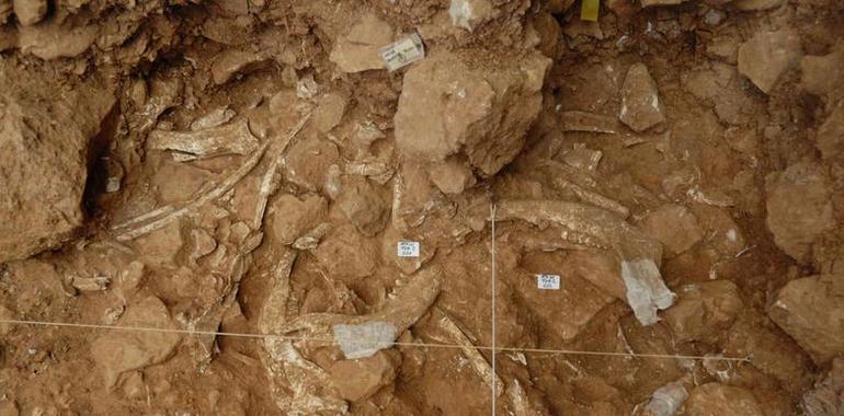 Obtienen la cronología completa del yacimiento de Gran Dolina