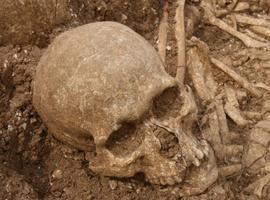 Descubierta una fosa común de mercenarios Vikingos, 'asesinos de élite' del mundo medieval