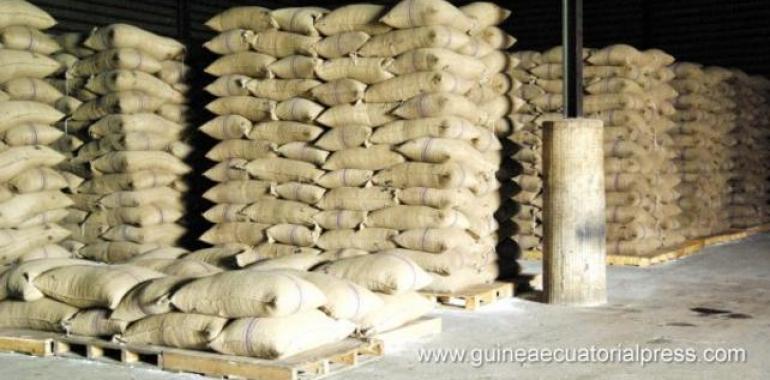 Guinea oferta un stock de cacao de alta calidad en Malabo