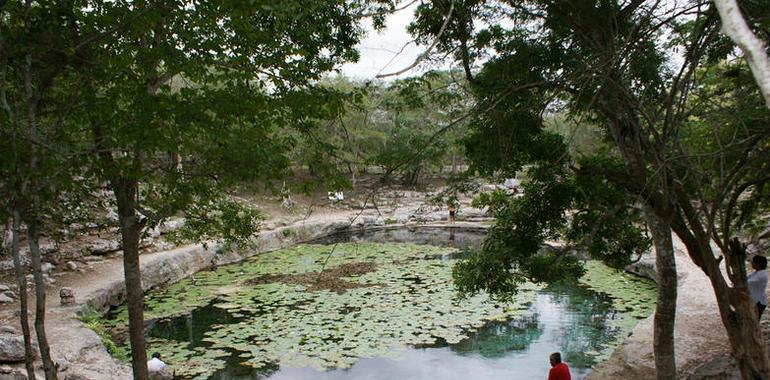 Se confirma la creación del banco de germoplasma en Yucatán