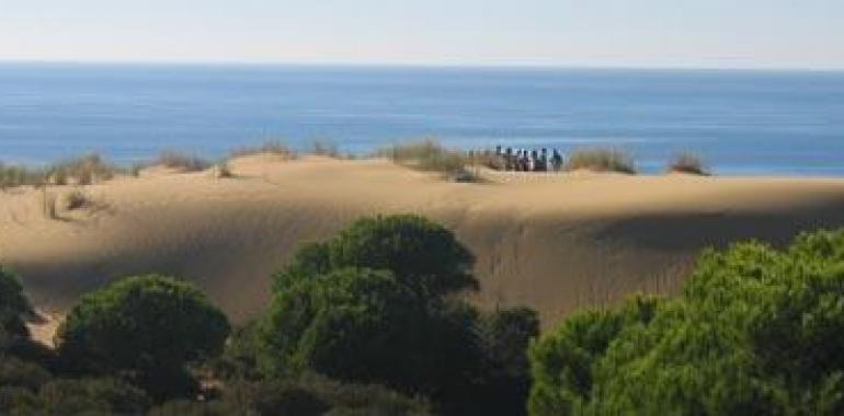 Un estudio constata la tendencia ascendente de las temperaturas en el espacio natural de Doñana