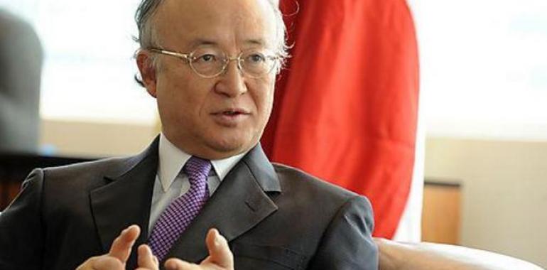El Director de la AIEA afirma que 