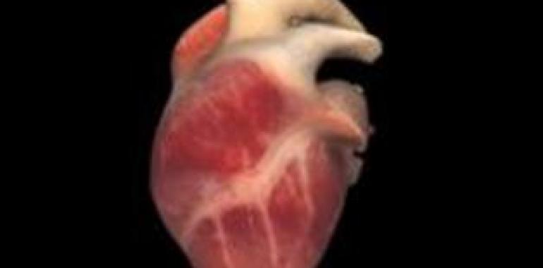 Sanidad realiza el primer balance de funcionamiento del Código Corazón
