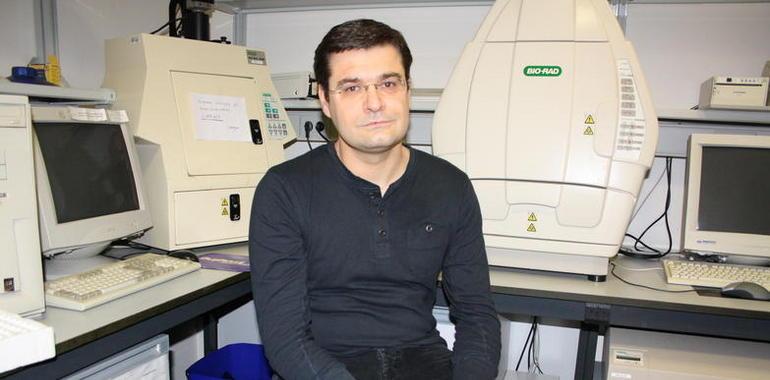 Salamanca y Córdoba colaboran en el estudio de proteínas clave para el desarrollo de tumores