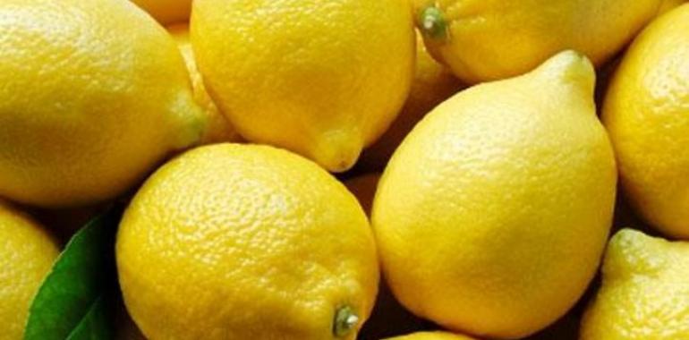 ASAJA exigirá que las producciones hortofrutícolas marroquíes cumplan las condiciones de importación de la UE