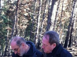IU pide un plan urgente de actuación para la zona arrasada por los incendios en Candamo