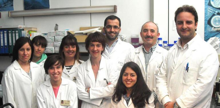 Elaboran el primer fermento autóctono comercial para el queso de Cabrales