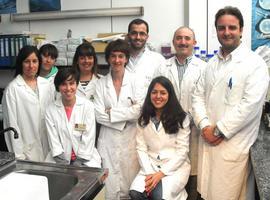 Elaboran el primer fermento autóctono comercial para el queso de Cabrales