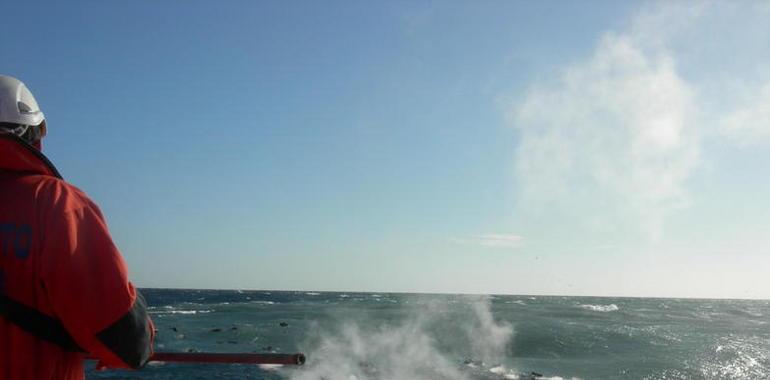 El volcán submarino de El Hierro emite 934 toneladas diarias de CO2