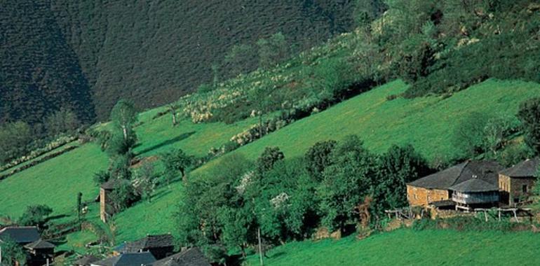 Asturias, a la cabeza de las comunidades autónomas en ejecución del  Desarrollo Rural