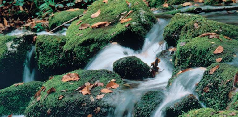 El agua, a debate planetario en Marsella