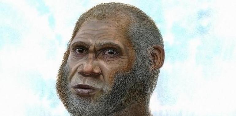 Sapiens y Neandertales tuvieron otro hermano en China