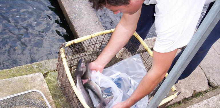 Los científicos afrontan el reto de producir más alimentos con menos agua