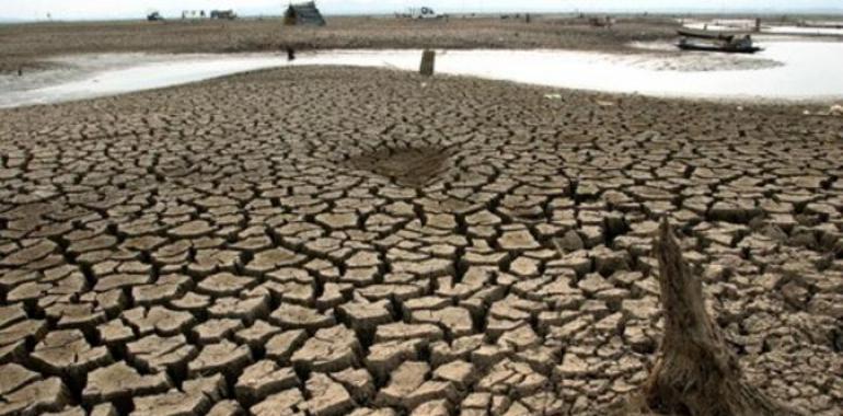 Greenpeace pide un cambio en la política energética del Gobierno para hacer frente a la sequía