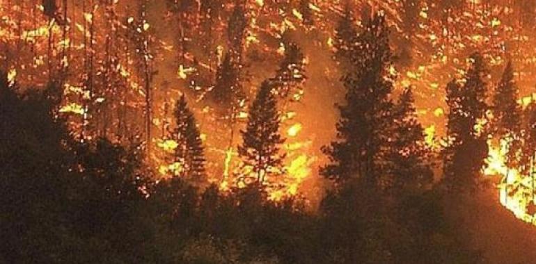 la Xunta decreta nivel 1 en el incendio forestal de A Capela, por riesgo para las personas