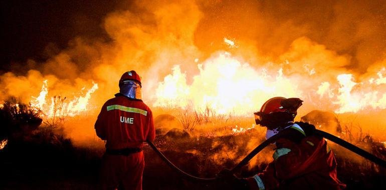 Más de 300 efectivos de la UME han intervenido en el incendio de Fragas do Eume