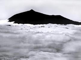 La altitud de las islas aumenta el número de especies exclusivas
