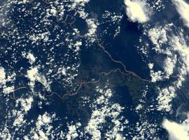 ¡Advertencia! madera ilegal de la Amazonia