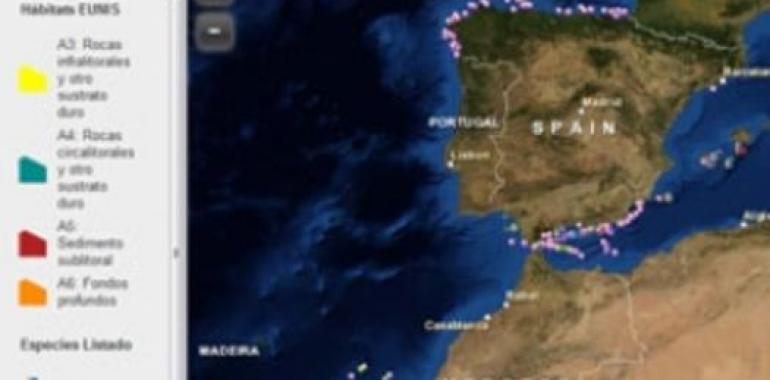Oceana presenta un mapa interactivo de hábitats marinos