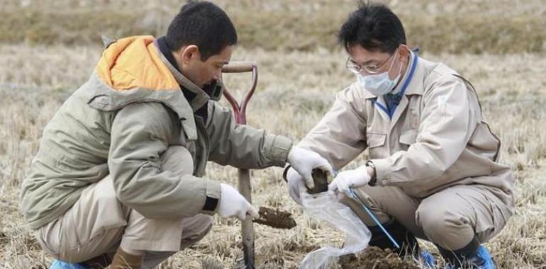 La población no podrá volver a áreas cercanas a Fukushima en una década