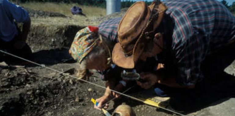 Los inmigrantes del sur de Europa llevaron la agricultura a los cazadores suecos 