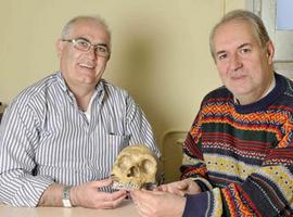 El 'Homo sapiens' pudo provocar un genocidio neandertal 