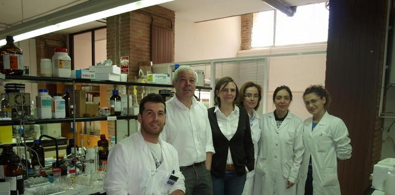 Estudian las setas y plantas medicinales de Portugal