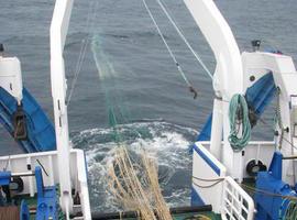 "Bioman" 'contará' la población de anchoa en el golfo de Vizcaya