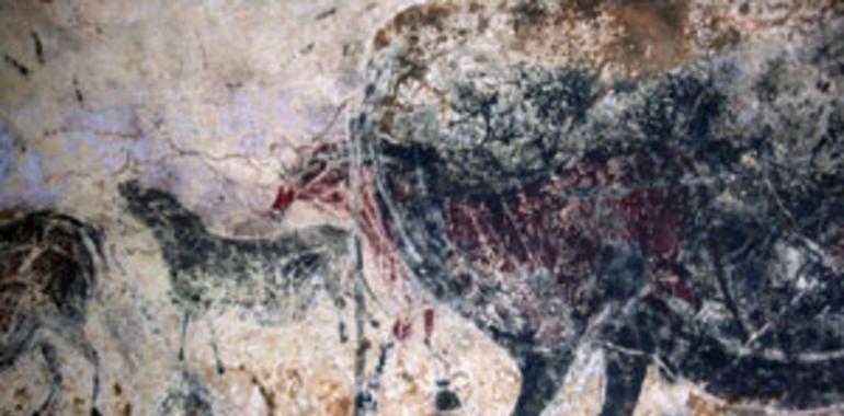 Los biocidas empleados en la cueva de Lascaux favorecieron la aparición de nuevos hongos 