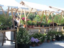 El Jardín Botánico convoca el  I Concurso de Calabazas Gigantes