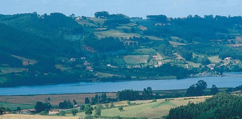 La Consejería aprueba ayudas para los mariscadores afectados por el cierre de la ría de Villaviciosa 