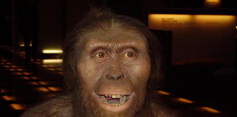 Los machos de ‘Australopithecus’ se quedaban ‘en casa’