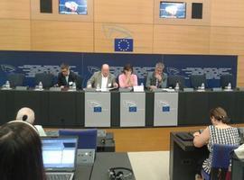 "La decisión del Gobierno de recortar las ayudas al sector del carbón no viene impuesta desde Europa"