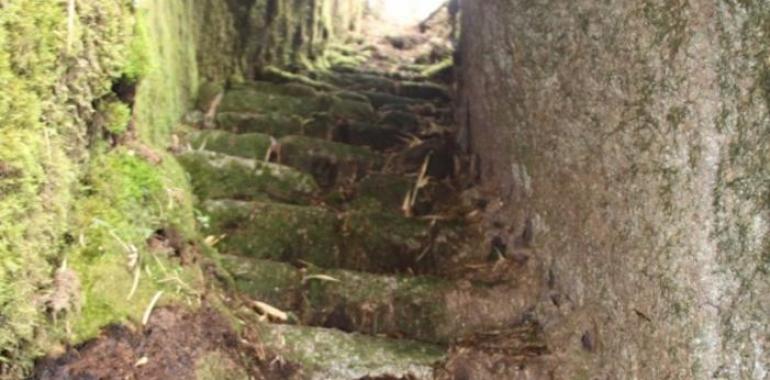 Descubren nuevo tramo del Camino Inka en Machupicchu