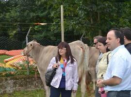 El Gobierno del Principado actuará "caso por caso" en los daños del lobo al ganado