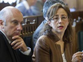 El Principado apuesta por impulsar los accesos a la Zalia por el Montico y la Peñona
