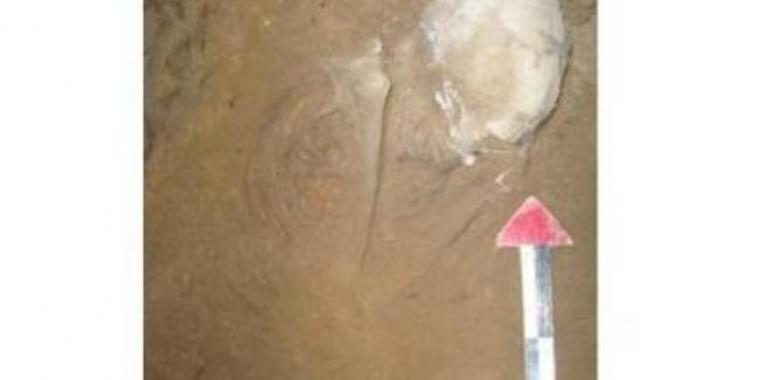 Descubierto un esqueleto de 7.500 años de edad en la provincia de Markazi 