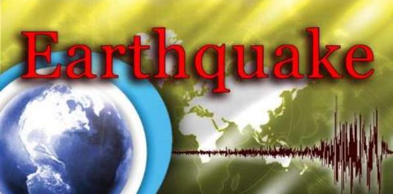 Turkey ready to assist earthquake stricken people in Iran 