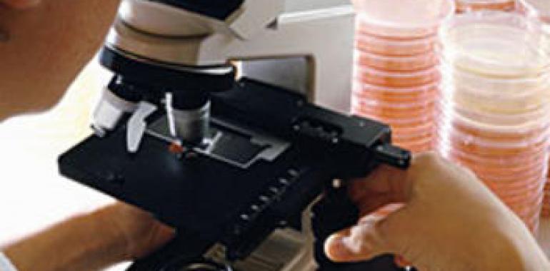 Navarra crea el registro de enfermedades raras 