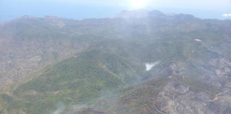 Canarias pide la colaboración ciudadana en la investigación del origen de los incendios