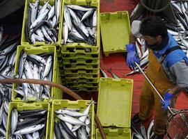 La FAO pide "prioridad mundial" para una gestión responsable de los océanos