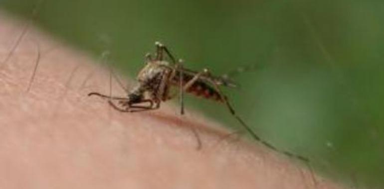 Tecnología espacial contra los mosquitos