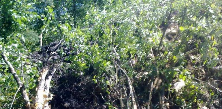 FORO ASTURIAS denuncia que Coto Minero Cantábrico arroja escombros al PN de Fuentes del Narcea