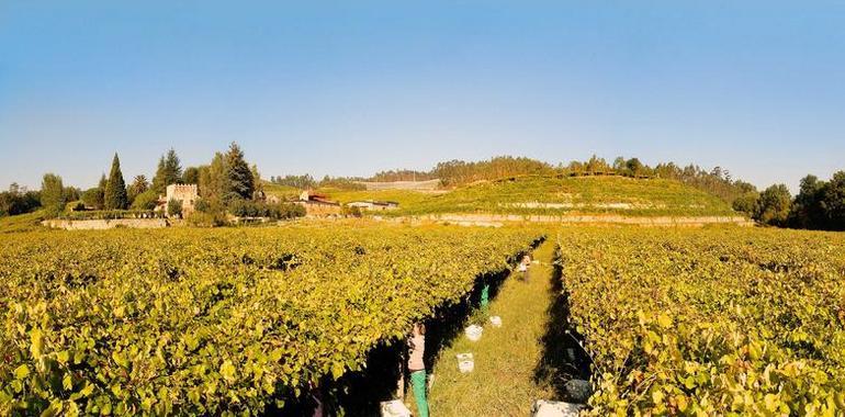 Fillaboa 2011 recibe el Premio Gallaecia