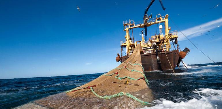 Greenpeace celebra que Australia proteja sus aguas del barco factoría Magiris