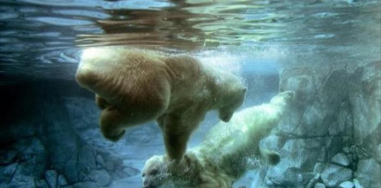 V Congreso Mundial de la Naturaleza….esperemos que todo no quede en palabras