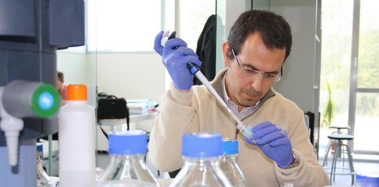 El óxido nítrico promueve la diferenciación de las células madre vegetales