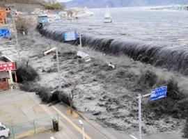Scientists explain scale of Japanese tsunami 